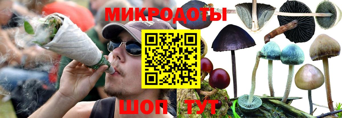 Галлюциногенные грибы Magic Shrooms Кимры